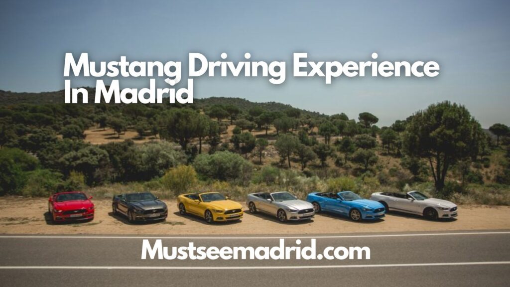 Mustang Driving Experience In Madrid